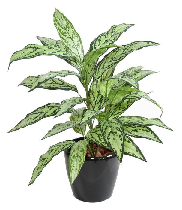 Kunstig Plante Aglaonema 80Cm For Innendørs