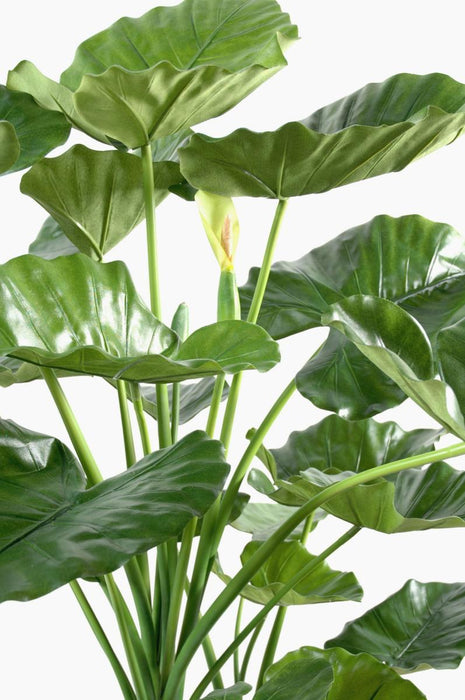 Kunstig Plante Alocasia 120Cm Interiørdekorasjon