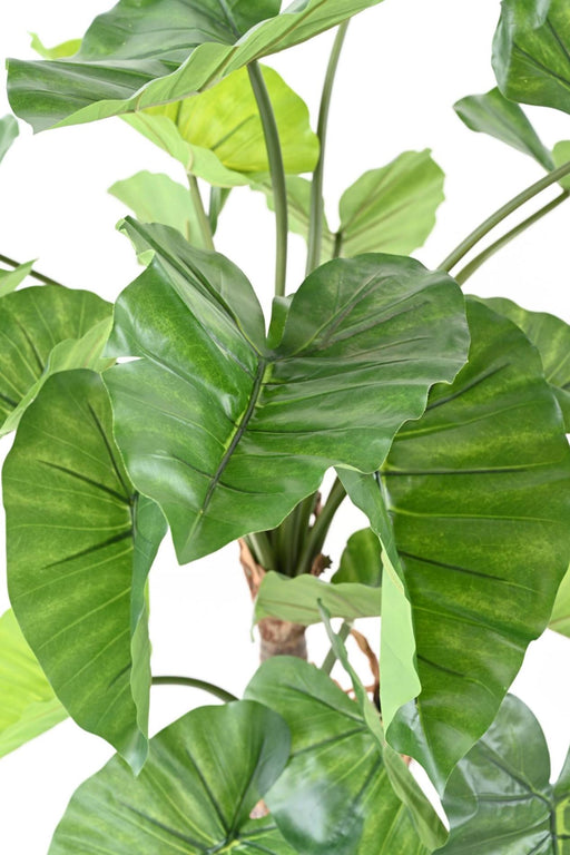 Kunstig Alocasia Plante 3 Stammer 130 Cm