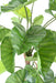 Kunstig Alocasia Plante 3 Stammer 130 Cm