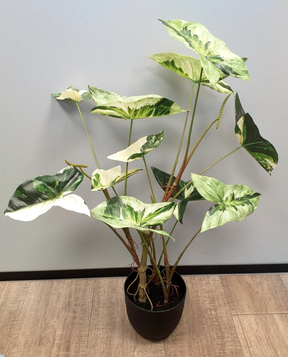 Kunstig Alocasia Plante 75Cm Med Svart Potte