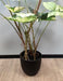 Kunstig Alocasia Plante 75Cm Med Svart Potte