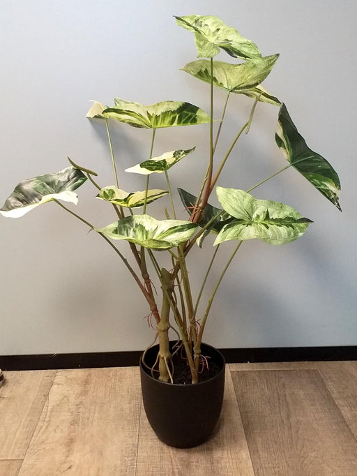 Kunstig Alocasia Plante 75Cm Med Svart Potte