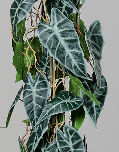 Kunstig Alocasia-Plante 80 Cm I Grønn Potte