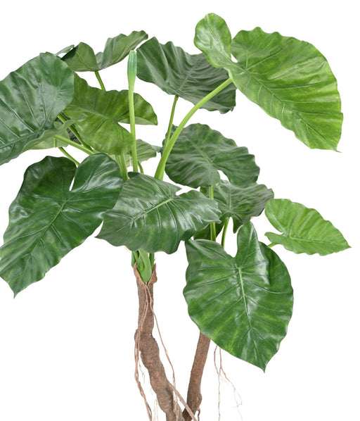 Kunstig Plante Alocasia Calidora 130 Cm Dekor