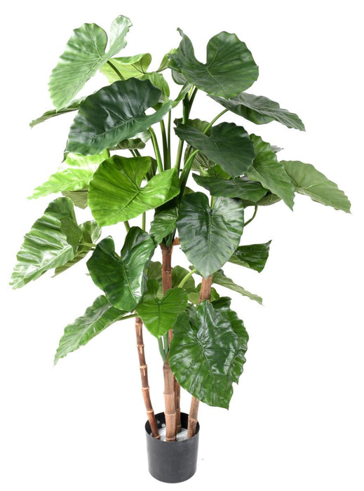 Kunstig Plante Alocasia Calidora 170Cm Innendørs