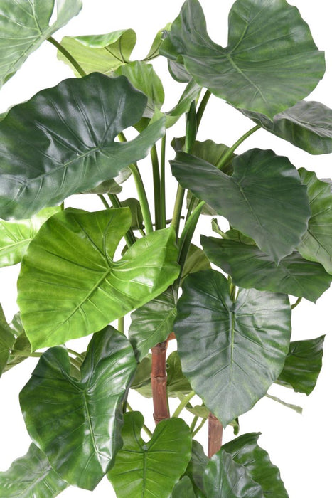 Kunstig Plante Alocasia Calidora 170Cm Innendørs