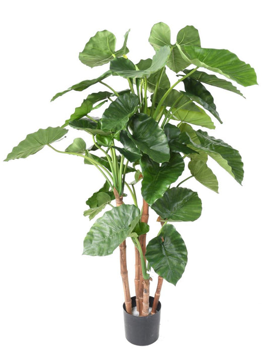 Kunstig Plante Alocasia Calidora 170Cm Innendørs