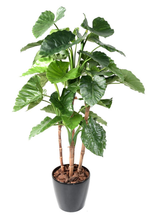 Kunstig Plante Alocasia Calidora 170Cm Innendørs