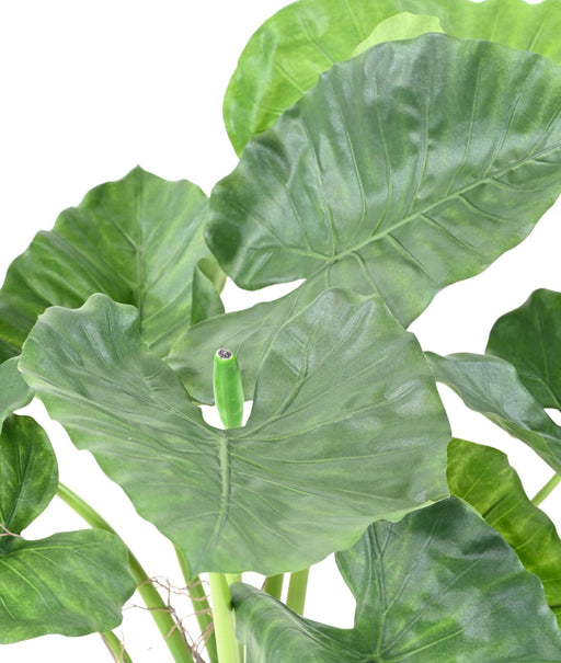 Kunstig Plante Alocasia Calidora 65Cm Interiørdekorasjon