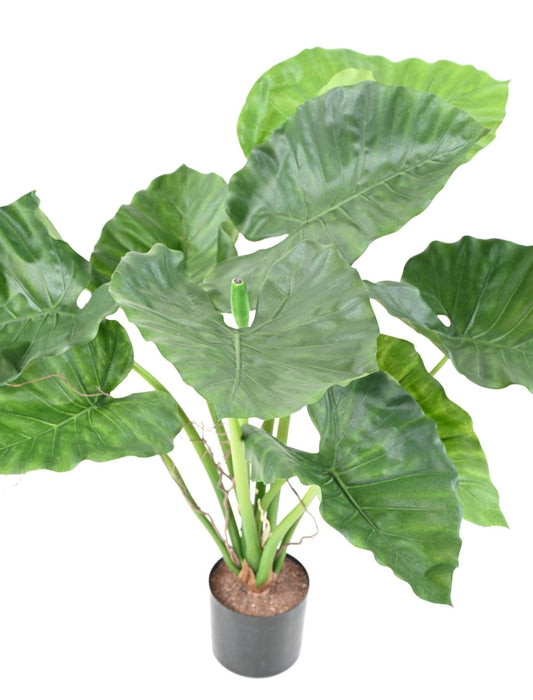 Kunstig Plante Alocasia Calidora 65Cm Interiørdekorasjon