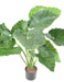 Kunstig Plante Alocasia Calidora 65Cm Interiørdekorasjon