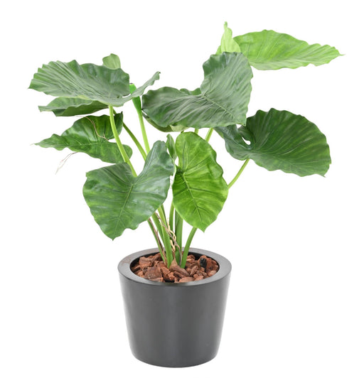 Kunstig Plante Alocasia Calidora 65Cm Interiørdekorasjon