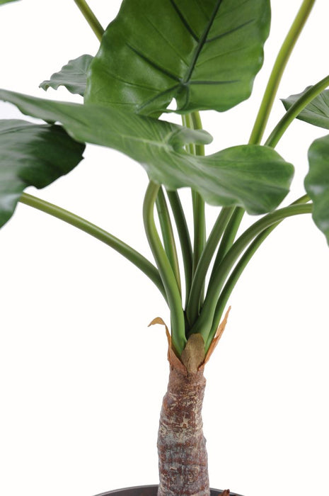 Kunstig Alocasia Plante H.80 Cm Til Dekorasjon