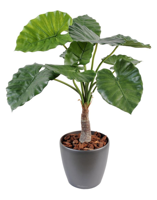 Kunstig Alocasia Plante H.80 Cm Til Dekorasjon