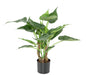 Kunstig Plante Alocasia Tropic 50Cm