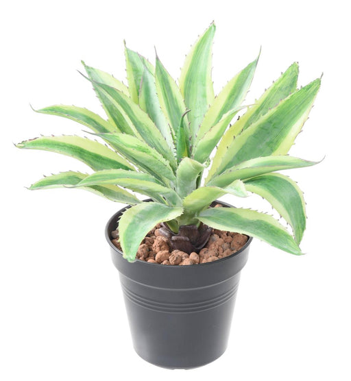 Kunstig Plante Aloe Cactus Innendørs 27Cm Grønn