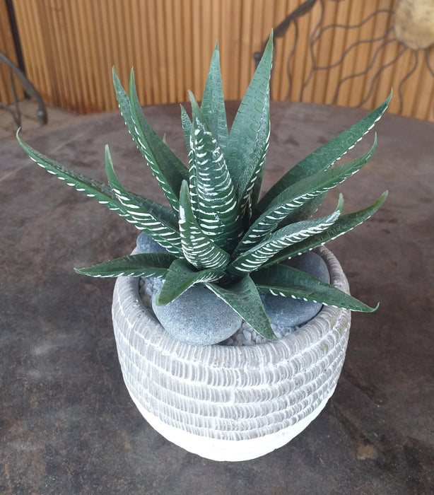 Kunstig Aloe Ferox Plante 15Cm Innendørs Grønn