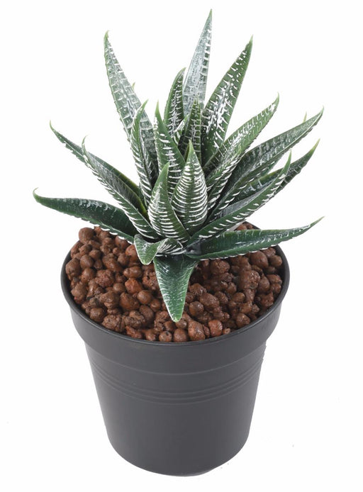 Kunstig Aloe Ferox Plante 15Cm Innendørs Grønn