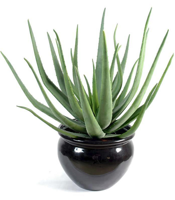 Kunstig Aloe Vera Plante 55 Cm Dekorativ Kaktus