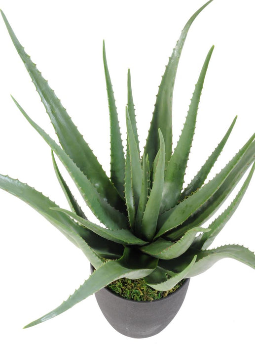 Kunstig Aloe Vera Plante 70 Cm I Potte