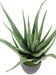 Kunstig Aloe Vera Plante 70 Cm I Potte