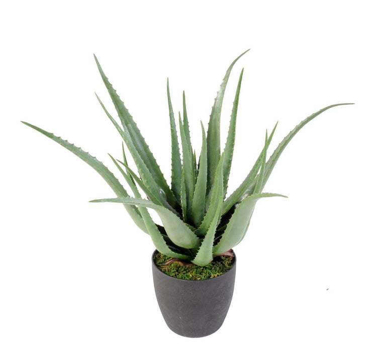 Kunstig Aloe Vera Plante 70 Cm I Potte