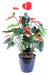 Kunstig Plante Rød Anthurium 78 Cm I Potte