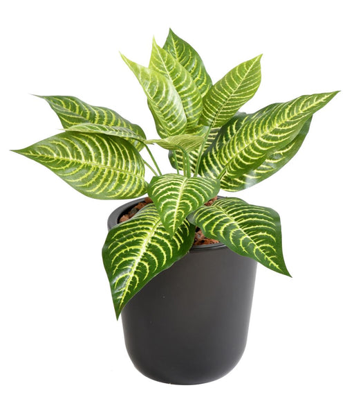 Kunstig Plante Aphelandra 30Cm Til Dekorasjon