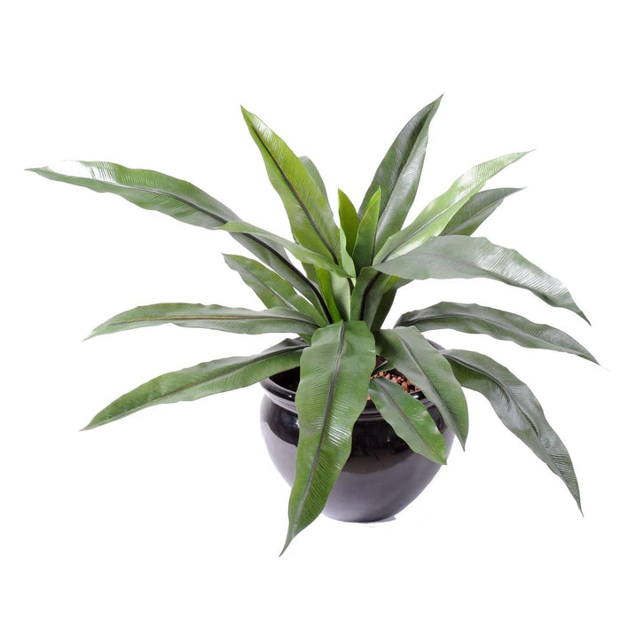 Kunstig Asplenium Plante 15 Blader 40Cm Grønn