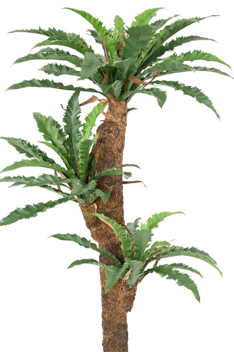 Kunstig Asplenium Plante H130Cm For Innendørs