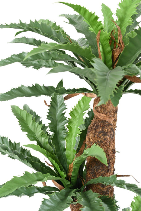 Kunstig Asplenium Plante H130Cm For Innendørs