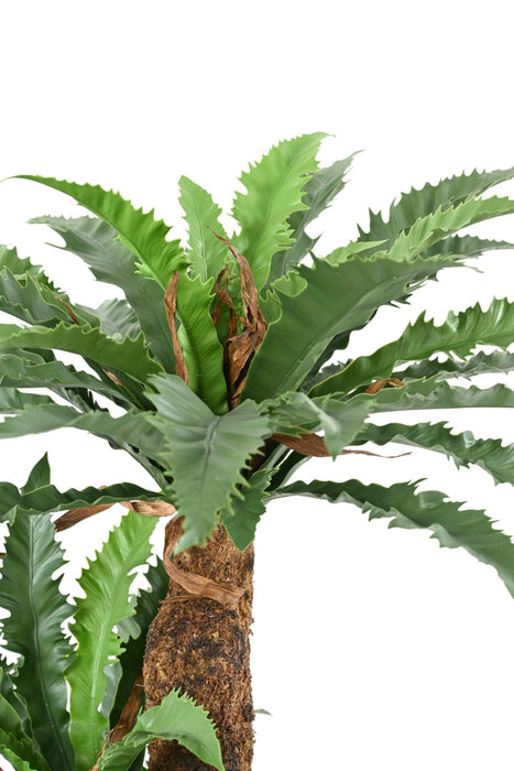 Kunstig Asplenium Plante H130Cm For Innendørs