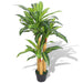 Kunstig Plante Med Potte Dracaena 100 Cm Grønn