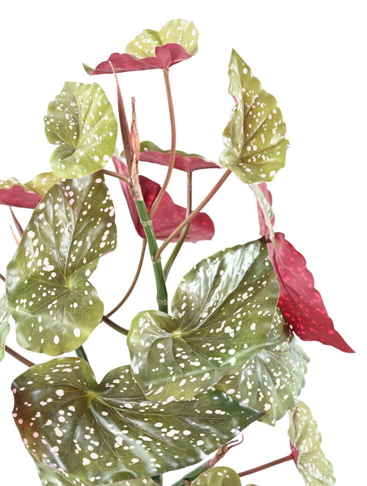 Kunstig Plante Begonia Maculata 70Cm Grønn Rød