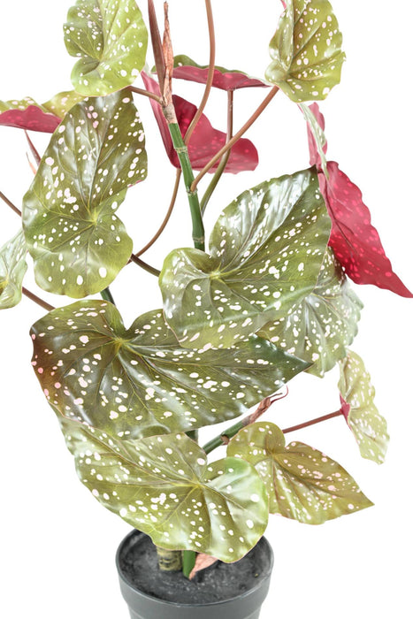 Kunstig Plante Begonia Maculata 70Cm Grønn Rød