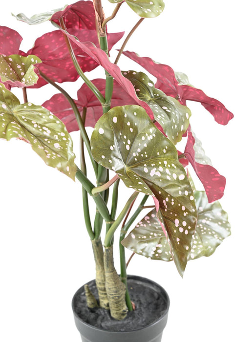 Kunstig Plante Begonia Maculata 70Cm Grønn Rød