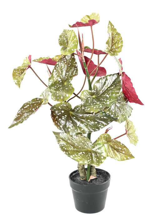 Kunstig Plante Begonia Maculata 70Cm Grønn Rød