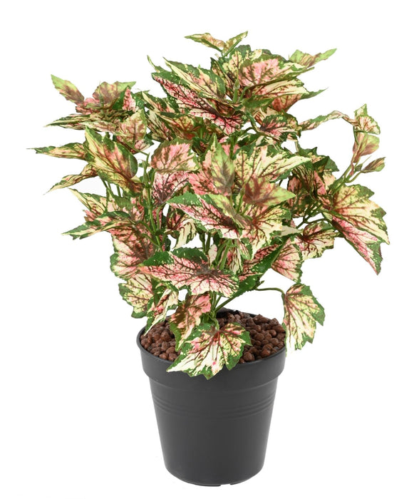 Kunstig Plante Begonia Rex 37 Cm Spraglete