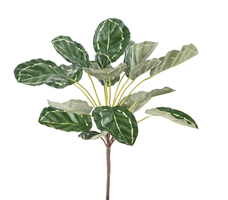 Kunstig Plante Calathea 19 Blader H.55Cm