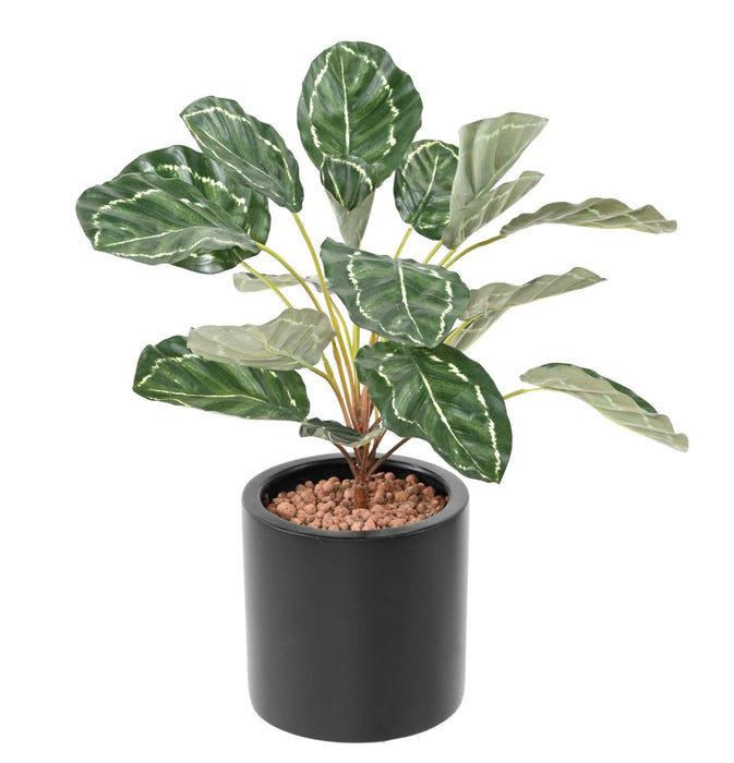 Kunstig Plante Calathea 19 Blader H.55Cm