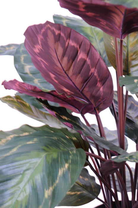 Kunstig Plante Calathea Roseopicta 70Cm