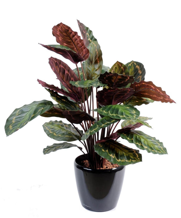 Kunstig Plante Calathea Roseopicta 70Cm