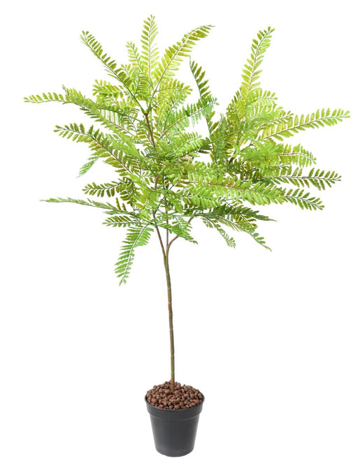 Kunstig Plante Cassia H.75Cm Innendørs Utendørs