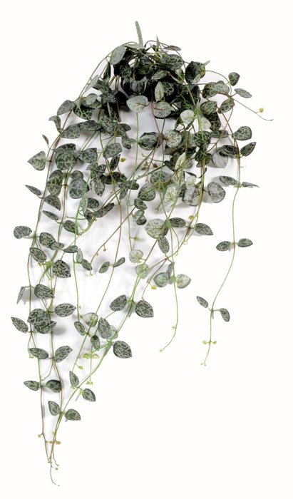 Kunstig Plante Ceropegia For Innendørs 60Cm