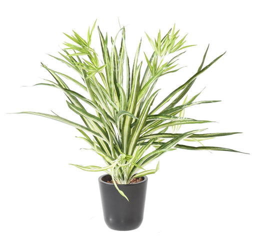 Kunstig Plante Chlorophytum 65Cm Interiørdekorasjon