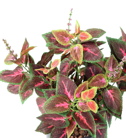 Artificial Coleus Plant 40Cm Grønn Rød På Stake