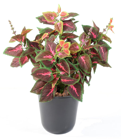 Artificial Coleus Plant 40Cm Grønn Rød På Stake