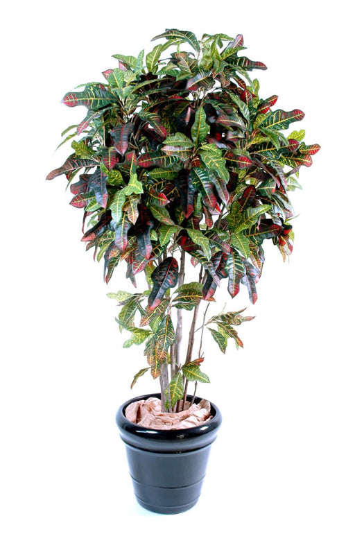 Kunstig Croton Plant 110Cm Interiørdekorasjon