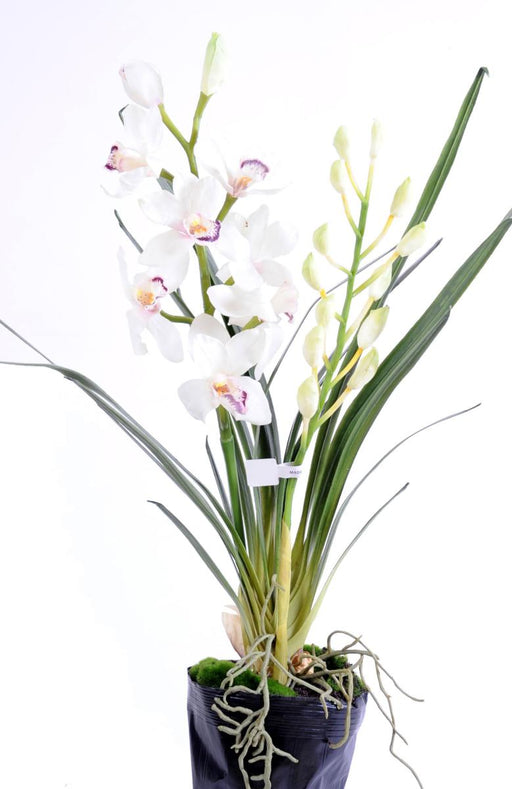 Kunstig Cymbidium Plante H.80Cm Hvit Blomst